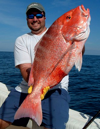 Red Snapper caught by local fishermman